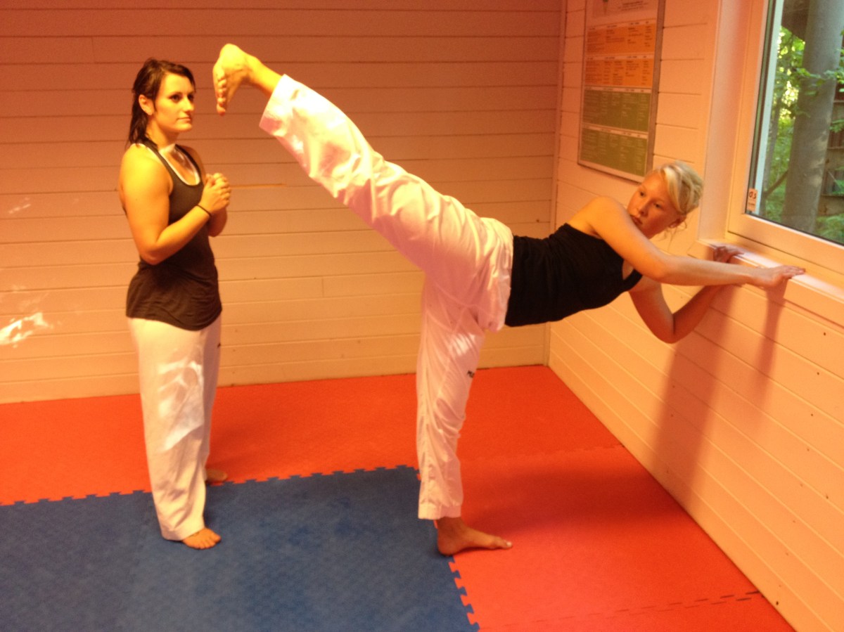 Stretchingprogrammet fra Mudo Sommer Convention&nbsp;2012