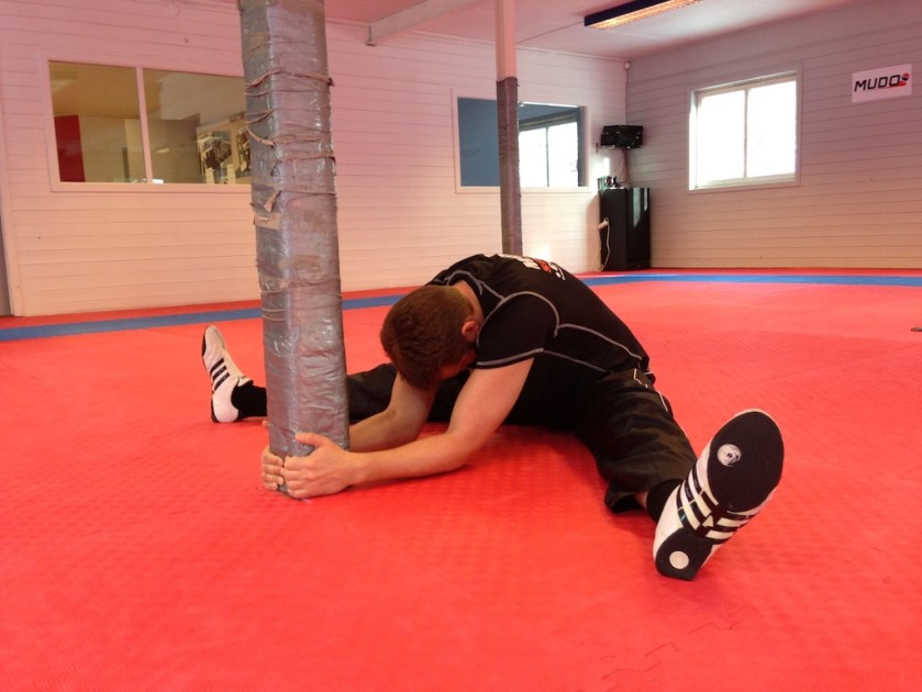 Kombo innside bakside 04 mms